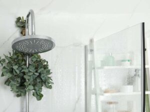 doccia con piantina